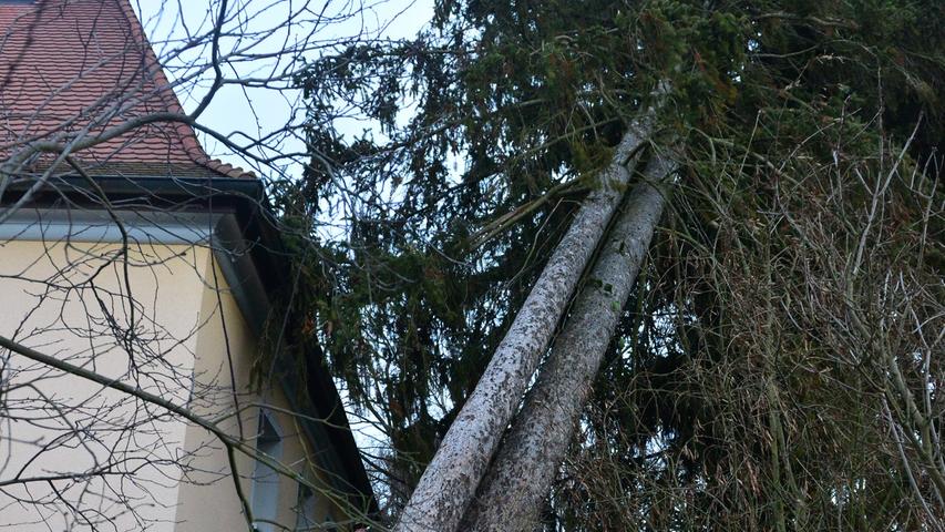In der Ebrardstraße drohte dieser Baum auf ein Haus zu fallen.