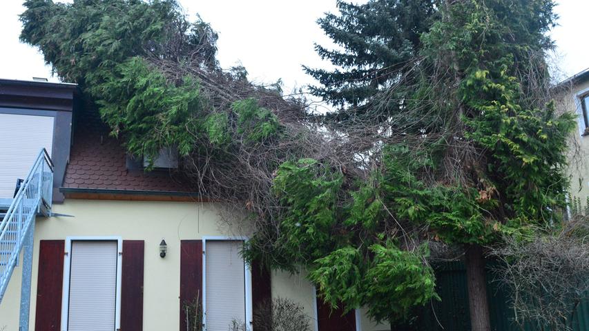 In der Bayreuther Straße fiel ein Baum auf ein Haus.