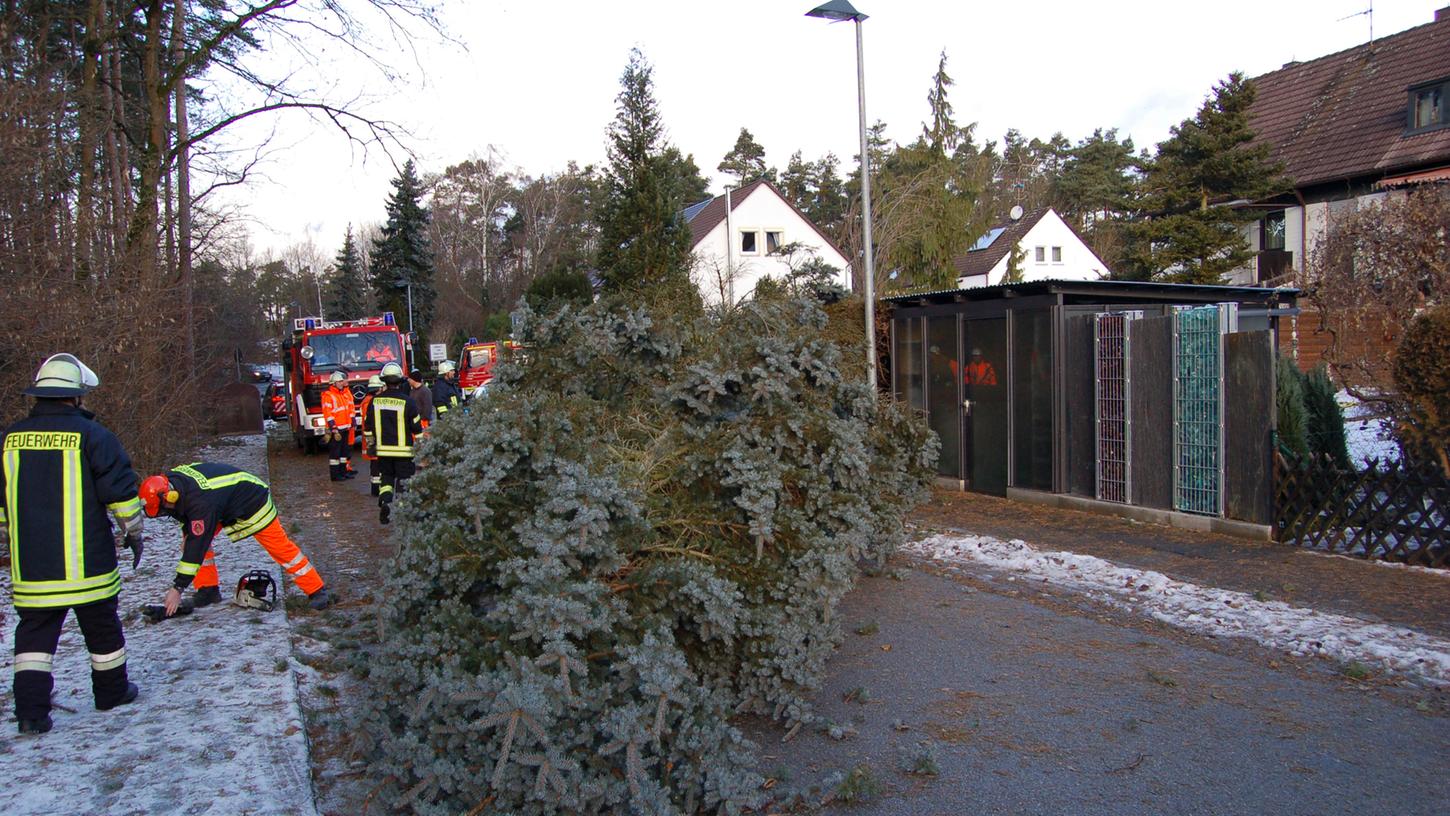 Nicht nur dieser massive Nadelbaum fiel in Feucht Orkantief "Egon" zum Opfer. Die Feuerwehr hatte am Freitagvormittag einige Sturmschäden zu beseitigen.