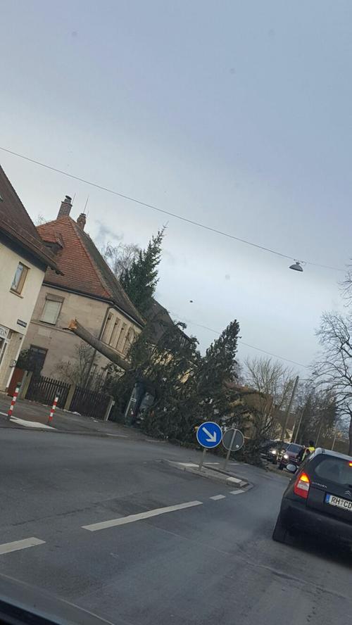 In Schwabach stürzte ein Baum auf eine Bushaltestelle.