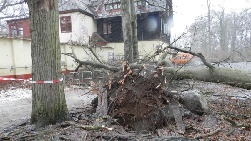 "Egon" entwurzelt Bäume und deckt Dächer in Bamberg ab