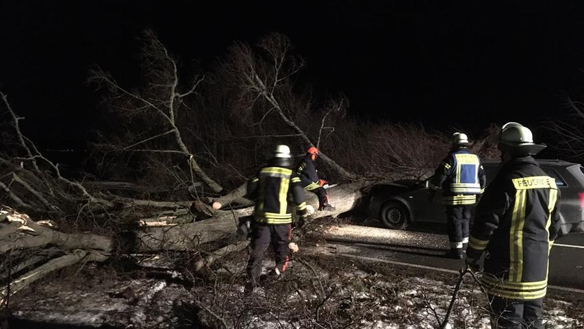 Ein umgestürzter Baumriese bremste zwischen Roßtal und Oedenreuth einen Pkw aus. Der Fahrer wurde verletzt.