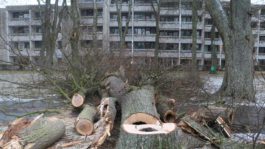 Sturmtief Egon wehte im Januar 2017 heftig über Franken hinweg und sorgte für zahlreiche Einsätze von Feuerwehr und Polizei. Umgestürzte Bäume, Zug- und Stromausfälle gingen auf das Konto von Egon. Hier stürzte ein Baum in der Allee nahe der Seniorenresidenz in Bad Windsheim um.