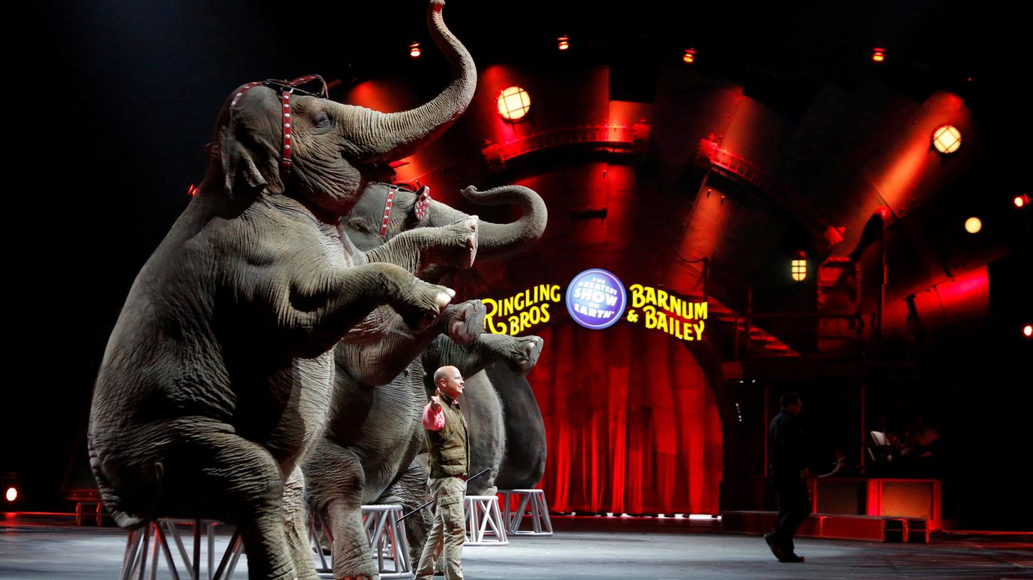 Tierschützer jubeln: Größter US-Zirkus macht Schluss