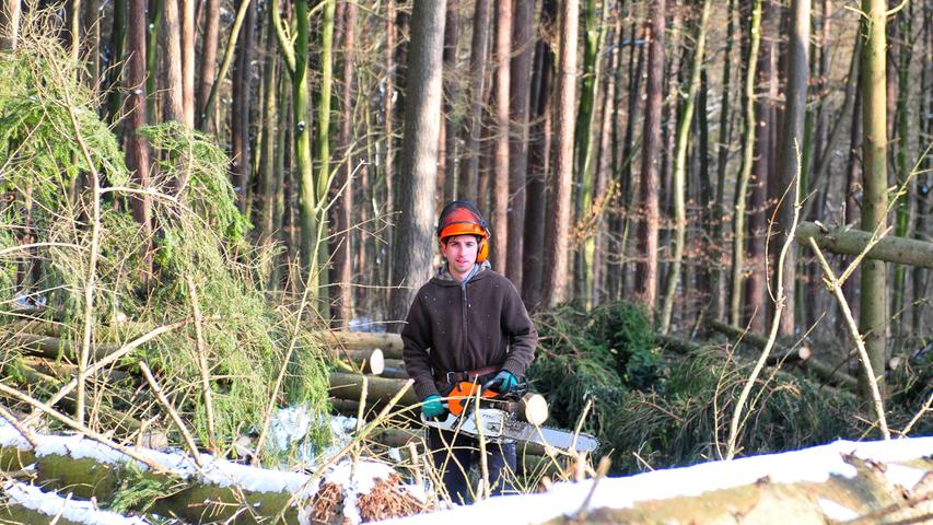 Stadtförsterei Forchheim bringt den Wald auf Vordermann