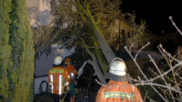 Die Feuerwehr Nürnberg war im Dauereinsatz, um umgestürzte Bäume zu entfernen.