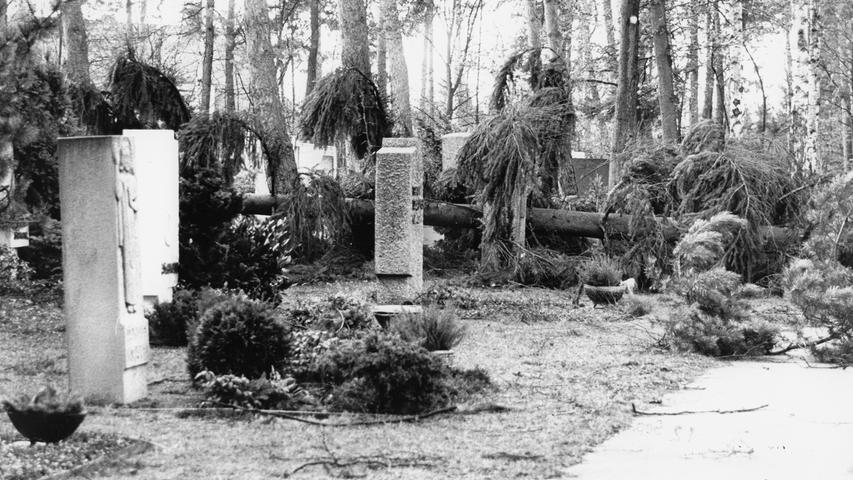 Am Südfriedhof in Nürnberg mussten umgestürzte Bäume beiseite geschafft werden.
