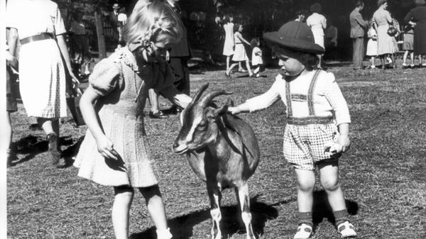 Der Kinderzoo hieß früher Tierkindergarten und erfreut sich seit seiner Eröffnung 1933 großer Beliebtheit bei den kleinen Besuchern. Im Streichelzoo können sie auf Tuchfühlung mit Ziegen und Ponys gehen - und lernen, dass es auch mal einen unsanften Stoß mit den Hörnern geben kann, wenn man den Vierbeinern nicht schnell genug das Futter hinhält.