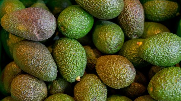 Die Essgewohnheiten der Amerikaner während des Super Bowls sind schon hinlänglich bekannt. Laut dem branchennahen Portal Fresh Plaza werden beim Super Bowl jährlich rund 48 Tonnen (!) Avocado verzehrt - ein Großteil davon zu Guacamole verarbeitet. Die müssen übrigens meist aus Mexiko importiert werden, weil regional angebaute Avocados, zum Beispiel aus Kalifornien, nur bis zum November geerntet werden können. Viel zu früh für den Super Bowl.
