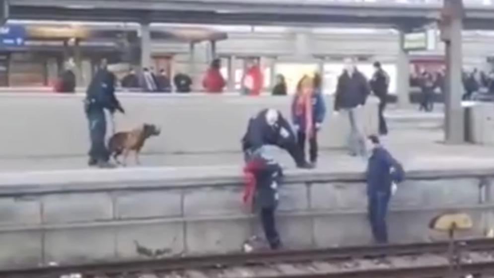 Hauptbahnhof: Polizeihund schubst Frau aufs Gleis Hauptbahnhof: Polizeihund schubst Frau aufs Gleis