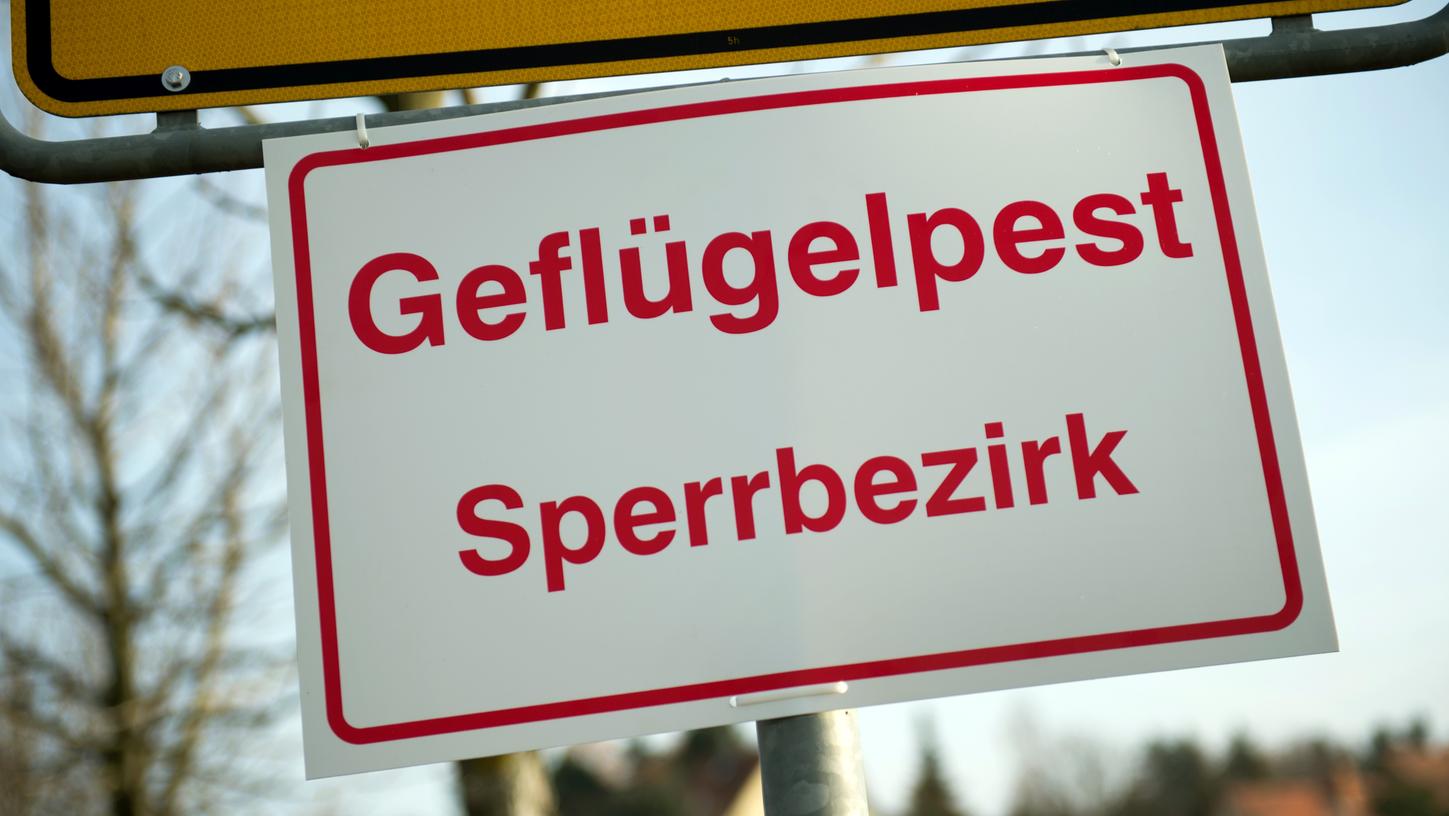 Entwarnung im Landkreis Neustadt/Aisch-Bad Windsheim: Die akute Ansteckungsgefahr für Geflügel mit dem Vogelgrippe-Virus H5N8 ist vorüber.