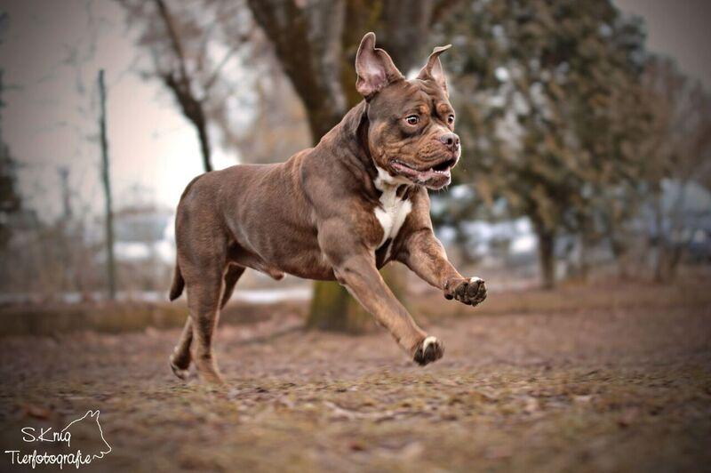 Fotografin aus Heroldsbach fängt tierische Momente ein Forchheim
