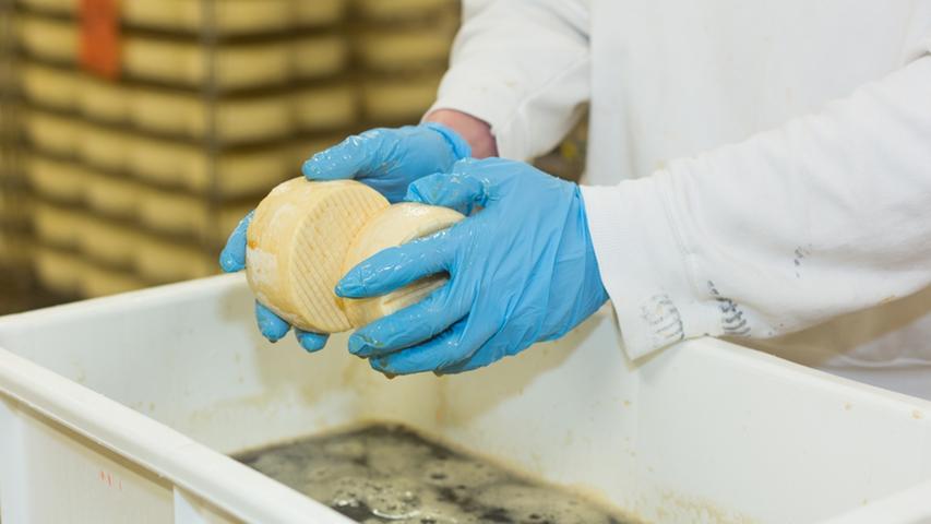 Bei der Herstellung wird der Käse in Bier getaucht.