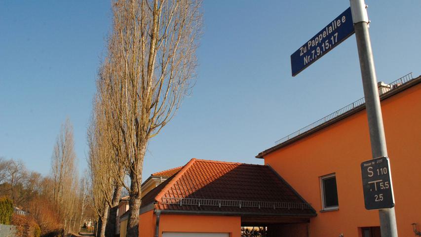 Die einzige Schwabacher Straße, die sogar "Allee" heißt, ist die Pappelallee am Waldfriedhof.