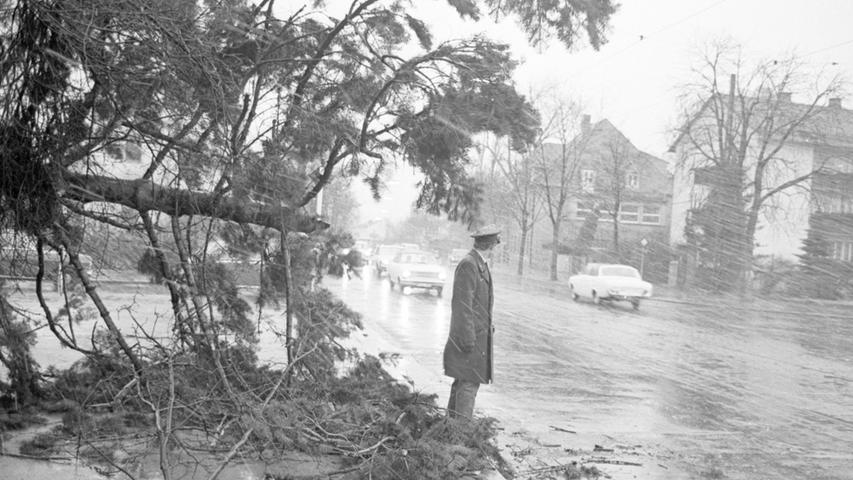 Am Nürnberger Schmausenbuck wurden zahlreiche Bäume geknickt. Die Polizei mußte im Schneesturm die Kraftfahrer vor plötzlich auftretenden Gefahren warnen. Hier geht es zum Artikel vom 24. Februar 1967: Sturm über Franken