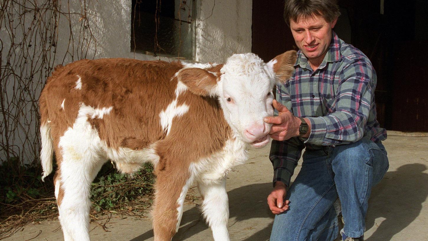 Das Klon-Kalb "Uschi" wurde 1999 von Landwirt Peter Rieblinger im bayerischen Landkreis Dachau ins Freie gebracht. Es wurde von Münchner Tiermedizinern nach einem Zellkerntransfer erzeugt und von einer Leihmutter-Kuh zur Welt gebracht.