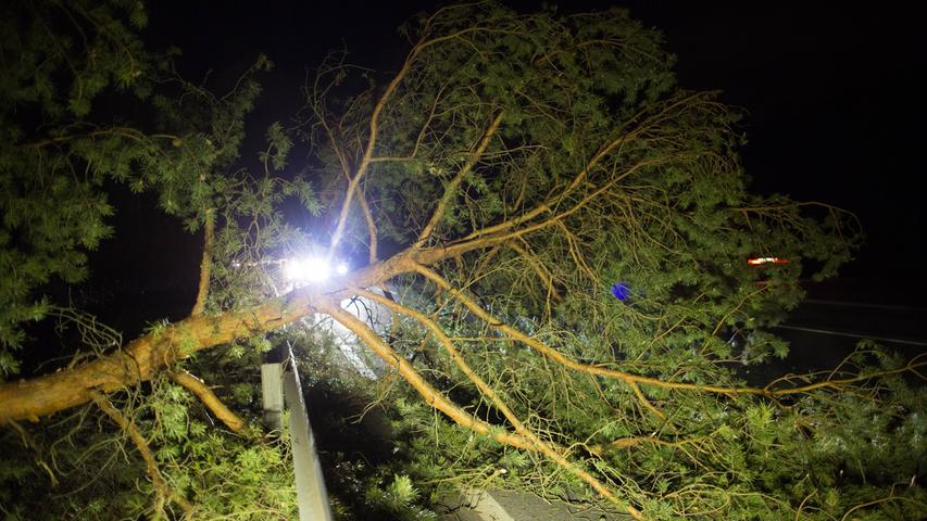 Unwetter über Franken: Sturm reißt Baum bei Nürnberg um