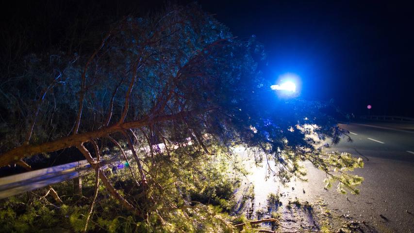 Unwetter über Franken: Sturm reißt Baum bei Nürnberg um