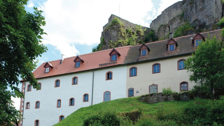 Die Burg Hohenstein ist eines der markantesten Baudenkmäler im Nürnberger Land, am höchsten Punkt in der fränkischen Alb gelegen. Die Anlage besteht aus der hochmittelalterlichen Oberburg mit Torhaus, Kapelle, Palas und den Resten eines Bergfrieds sowie aus der Unteren Burg nördlich unterhalb des Burgfelsens, dem um 1553 errichteten, langgestreckten, zweigeschossigem "Langen Haus". Die Burg befindet sich fast vollständig in den Händen des "Verschönerungsverein Hohenstein und Umgebung", der seit 1901 die Oberburg nach und nach übernommen und 2005 den östlichen Teil des "Langen Hauses" hinzu erworben hat. Jüngst wurde dieses umfassend saniert, dabei wurde unter anderem das Dachtragwerk instandgesetzt und die Fassade mit einer farblichen Neufassung saniert. Im Inneren wurde durch umfassende Änderungen und Reparaturen die historische Grundform der Räume wieder nachvollziehbar. Eine für die Nutzung als Veranstaltungsort vorgeschriebene Fluchttreppe sowie Sanitärräume halten sich im Hintergrund. Der Bezirk Mittelfranken lobt das Engagement des Vereins und sieht in der Sanierung die Aufwertung der ohnehin sehenswerten Burg Hohenstein.