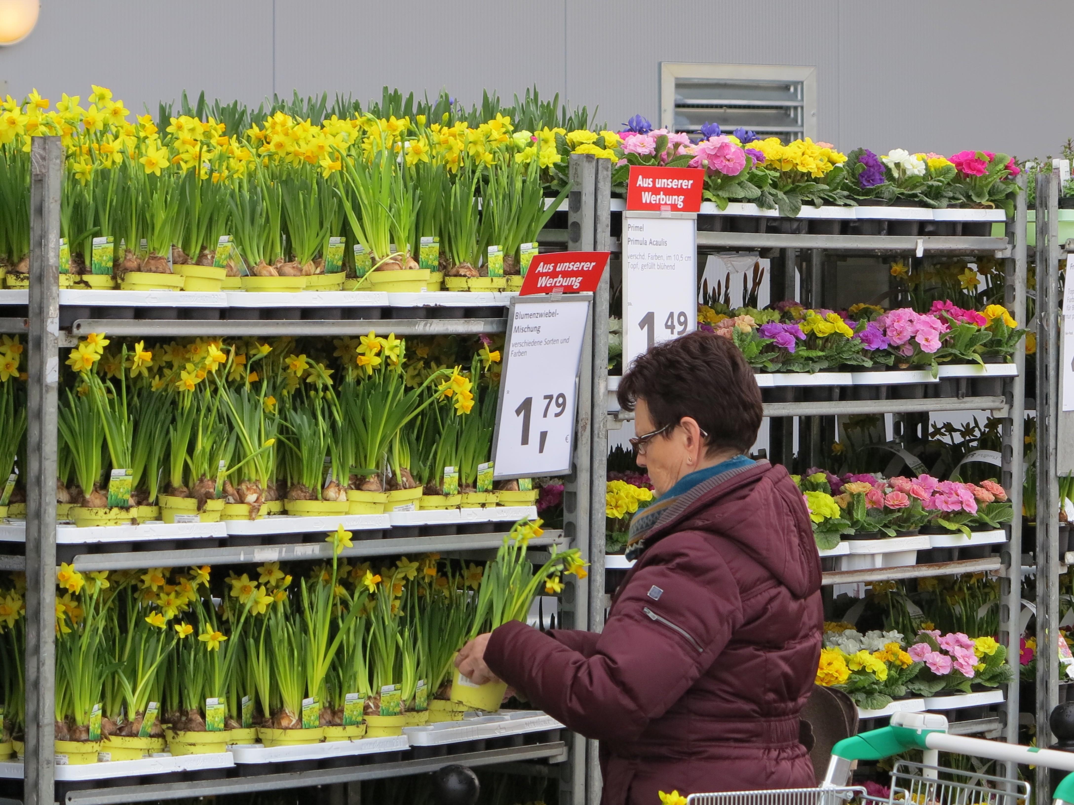 BayWaBau und Gartenmarkt präsentiert sich jetzt viel großzügiger