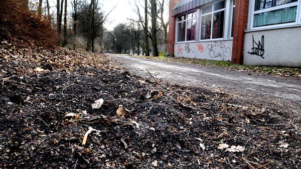 Die städtische Veit-Stoß-Realschule im Stadtteil Schoppershof bietet neben dem gewöhnlichen Unterricht für Heranwachsende auch eine Abendrealschule an, diese richtet sich an erwachsene Interessenten des zweiten Bildungsweges. Zur Homepage der Veit-Stoß-Realschule.