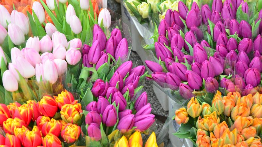 Handwerkskunst und bunte Blumen auf Bambergs Mitfastenmarkt