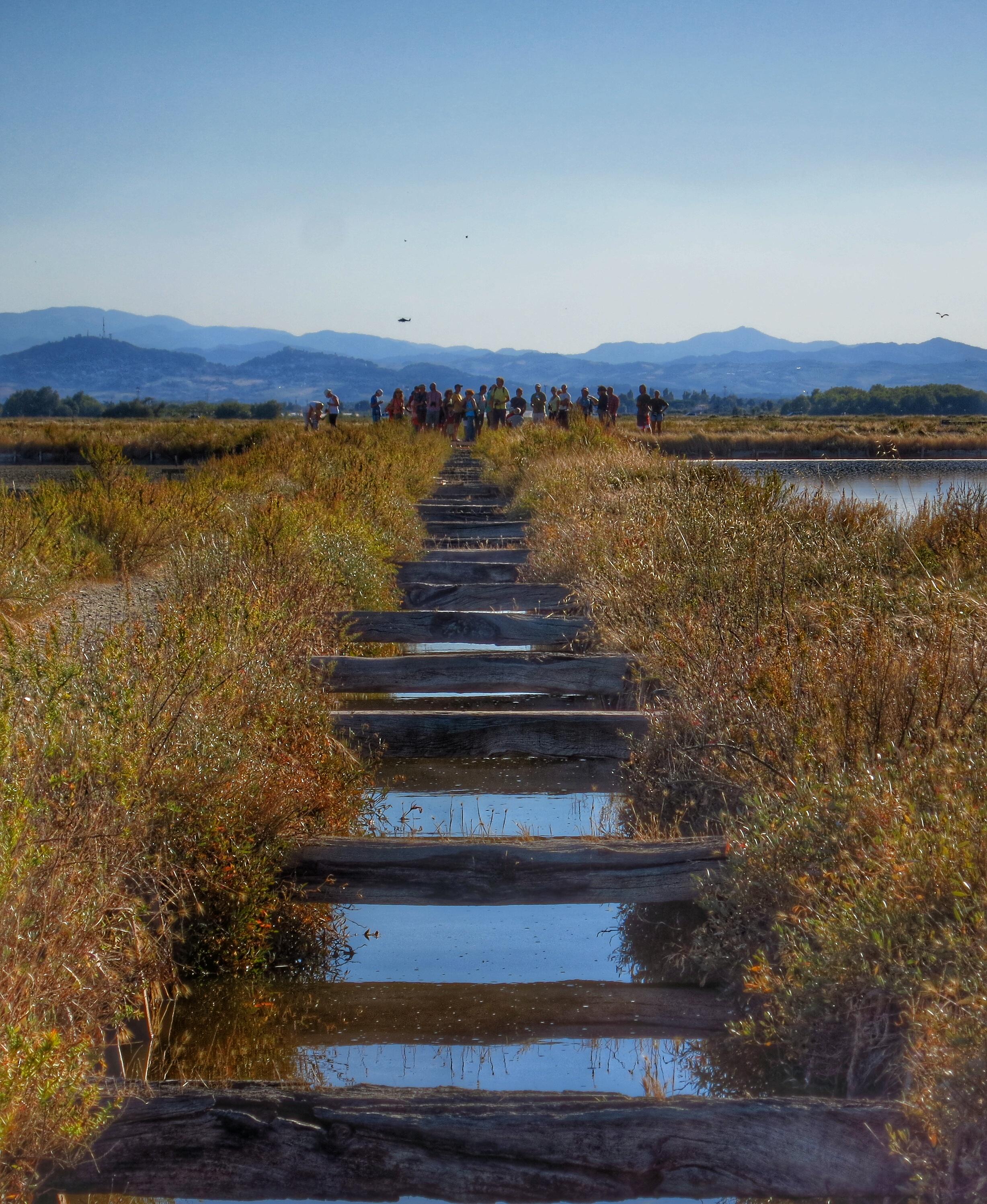Schirm an Schirm im Bagno, darüber die gleißend heiße Sonne.