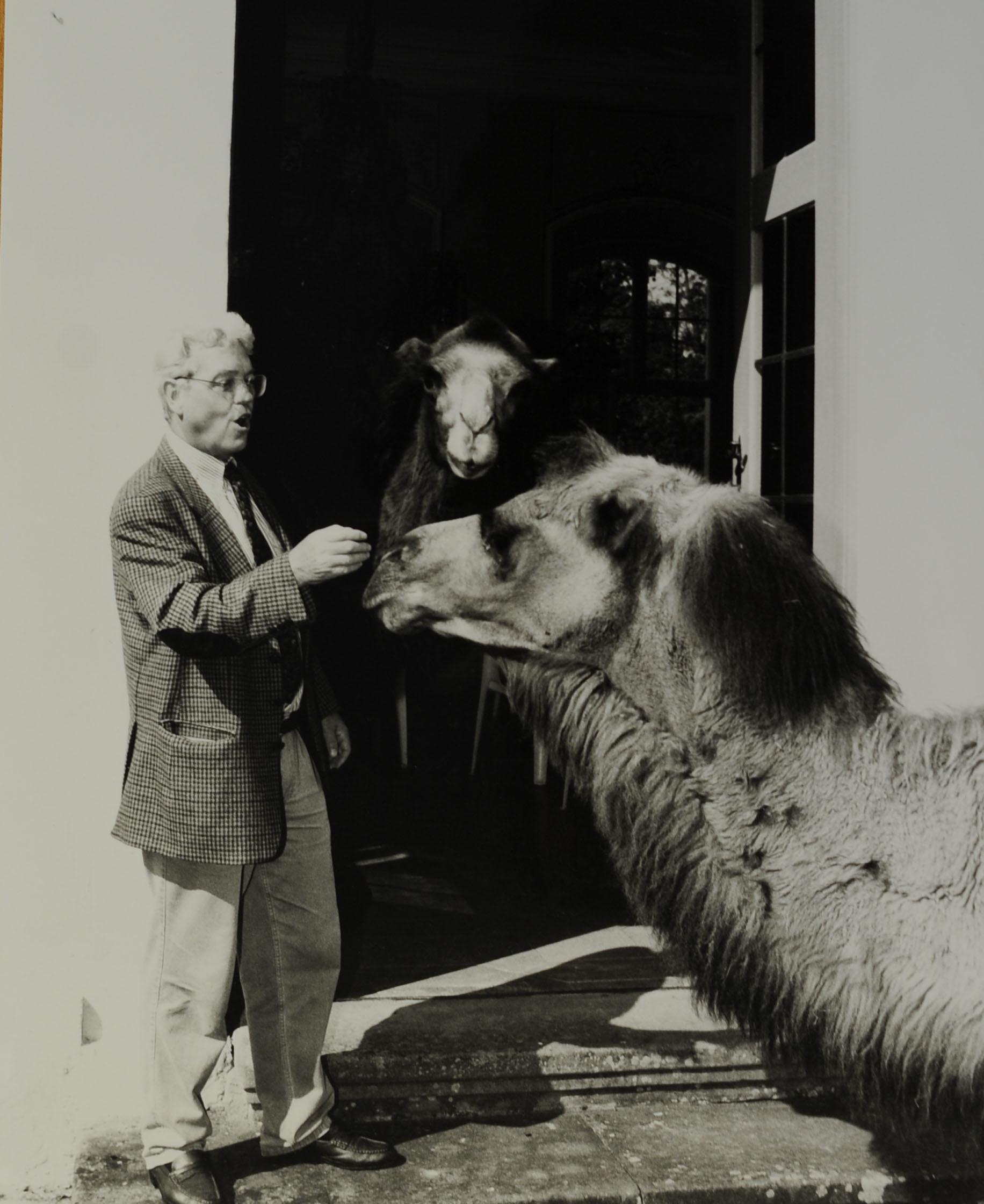 Aber auch vor dem Schloss machten die tierischen Bewohner des Erlebnisparks nicht Halt: Hannfried Graf Bentzel bei dem Vorhaben, den parkeigenen Kamelen das Schloss zu zeigen (etwa 1992).