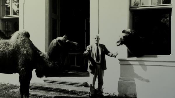 Historische Bilder Freizeitpark Schloss Thurn