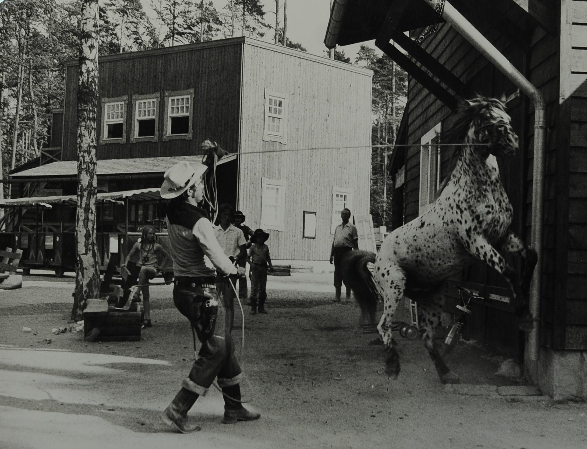 In diesem Jahr ging es mit den Westernshows in Schloss Thurn los. Hier zu sehen: Adam Störzer beim Training für die ersten Shows.