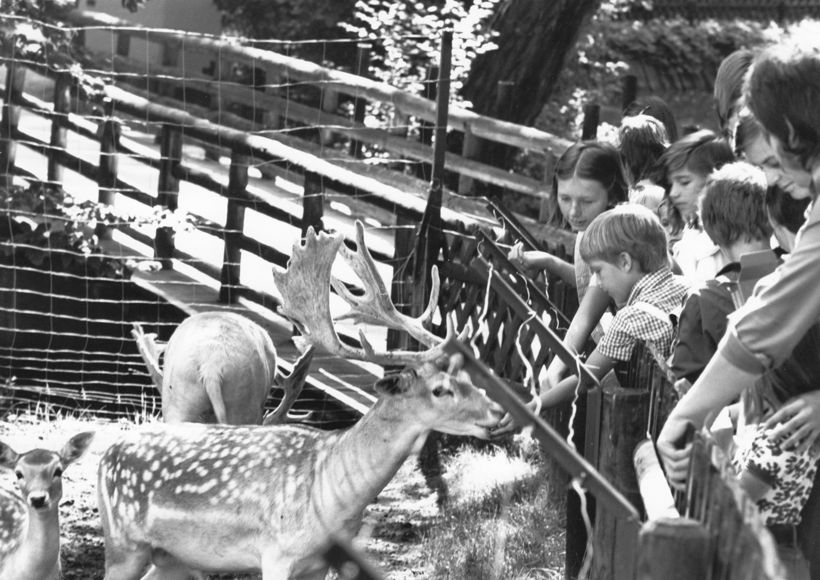 Während manche Besucher besonders die Nähe zu den zahlreichen Tieren im Park schätzten...