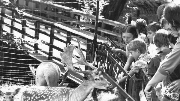 Während manche Besucher besonders die Nähe zu den zahlreichen Tieren im Park schätzten...