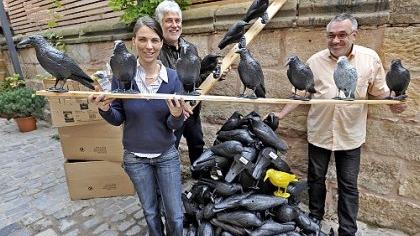 Setzen im Kampf gegen die Taubenplage auf Scharen schwarzer Kunststoff-Raben: Sandra Calabrese, Marcel Schwalme und Jens Graeser (von links). Setzen im Kampf gegen die Taubenplage auf Scharen schwarzer Kunststoff-Raben: Sandra Calabrese, Marcel Schwalme und Jens Graeser (von links).