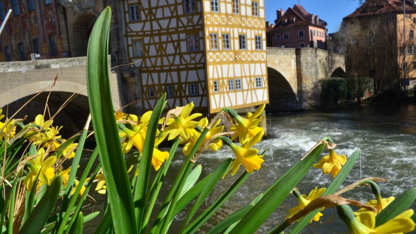 So schön ist der Frühling im Weltkulturerbe Bamberg