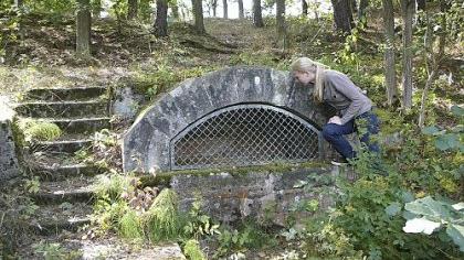 Kurort im Gebüsch Kurort im Gebüsch