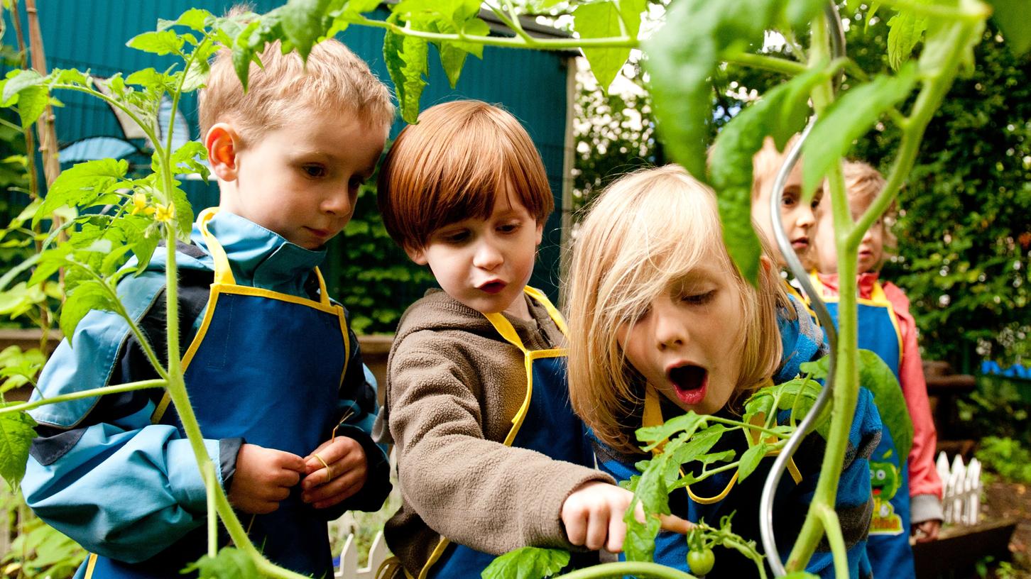 Wie Kinder lernen, was Demokratie bedeutet