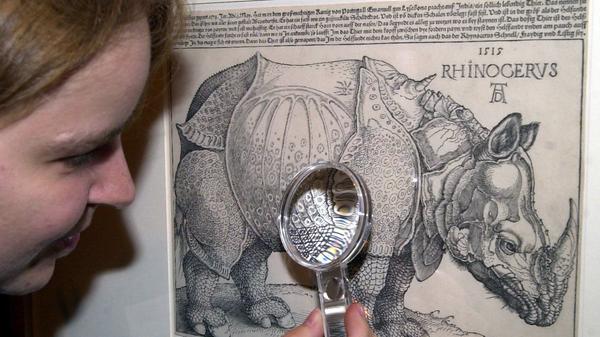 Hase und Rhinozeros sind zwei der bekanntesten Motive Dürers. Der "Feldhase", 1502 gemalt, ist wohl das berühmteste Tier der Kunstgeschichte. Das Besondere am 1515 entstandenen Holzschnitt des massigen Rhinozeros: Dürer hat solch ein Tier vorher nicht mit eigenen Augen gesehen, sondern fertigte das Motiv nach detaillierten Beschreibungen an.