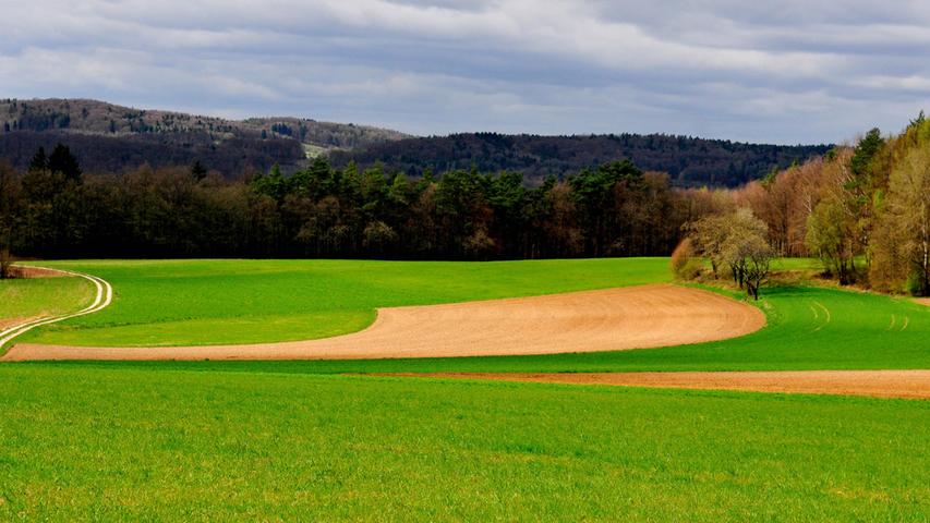 Der Landkreis Forchheim ist 64 302 Hektar groß. Davon werden etwa 26 310 Hektar landwirtschaftlich genutzt. Wie viel Ackerfläche so malerisch aussieht wie hier in Wichsenstein ist nicht bekannt.