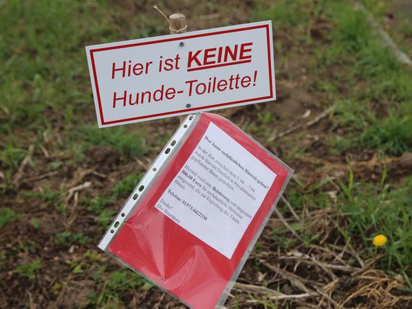 Kurios: Baum in Katzwang verschwand über Nacht 