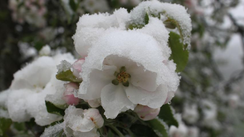 Schnee zu Ostern: Franken wird in weißes Kleid getaucht