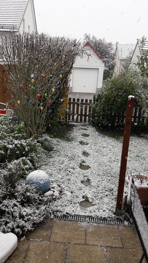Ei ei ei, und das an Ostern: Der Schnee ist im Landkreis Forchheim zurück
