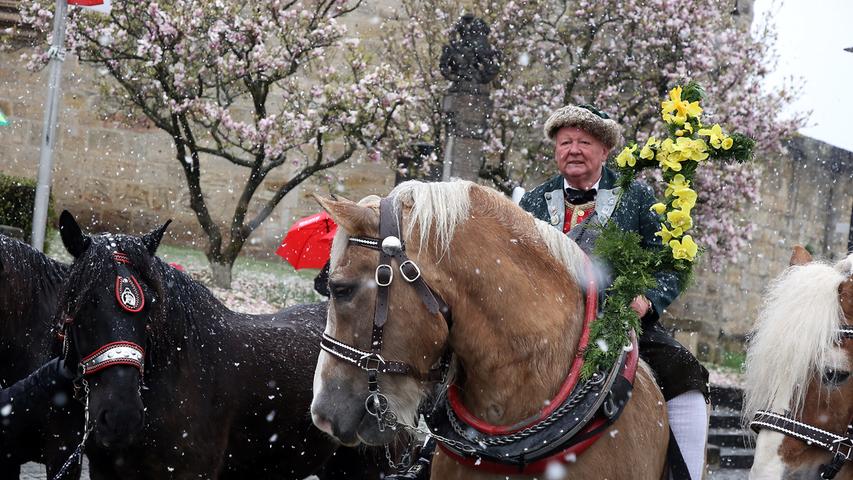 Georgiritt durch Effeltrich: Pferde, Schnee und Kirschblüten