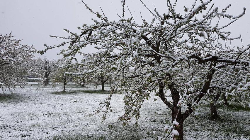 Schnee zu Ostern: Franken wird in weißes Kleid getaucht