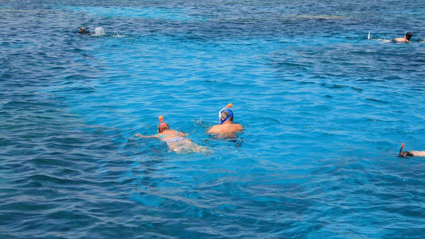 Schnorcheln gehört zu den Sportarten, die man vor El Gouna prima ausprobieren kann. Und es lohnt sich. Die Riffe Ägyptens sind berühmt. Viele liegen direkt unter der Wasseroberfläche und präsentieren dem Schnorchler Einblicke in eine faszinierend-bunte Welt.