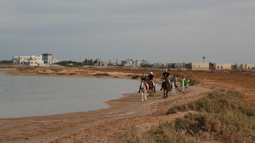 Einmal am Strand entlang reiten - davon träumen viele Frauen. In El Gouna können sie den Traum wahr werden lassen. Die Pferde von Habiba, dem Stall einer deutschen Auswandererin, sind auch bei Anfängern brav. Und die Guides laufen mit, um Fotos fürs Urlaubsalbum zu schießen. Mehr dazu hier: