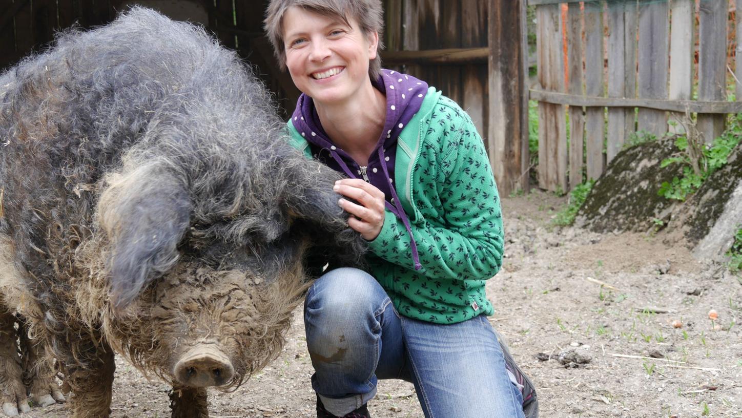 Judith Allerts Tiere sind Bücher-Stars