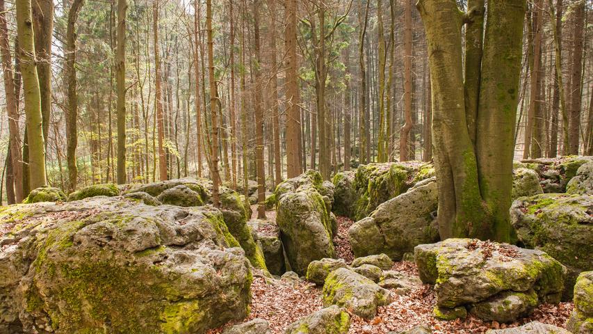 Der Druidenhain wird auch das “fränkische Stonehenge” genannt.
