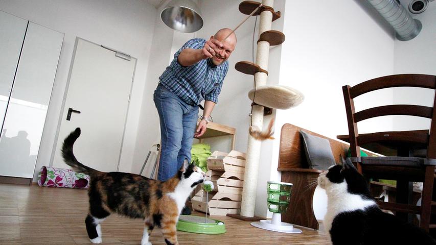 Exklusiver Blick: So sieht das Katzencafé in Nürnberg aus