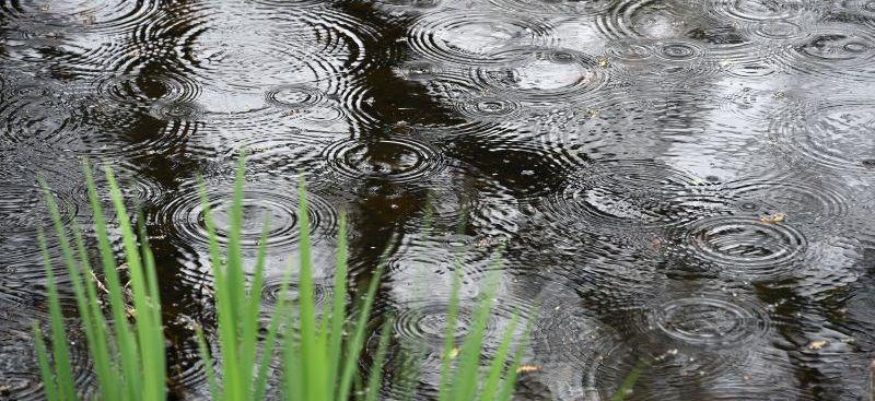 Viele lieben das Geräusch von prasselndem Regen. Leichtes Prasseln liegt bei rund 50 Dezibel. Die Lautstärken um dieser Grenzwert gelten allgemein als angenehm für unser Gehör.