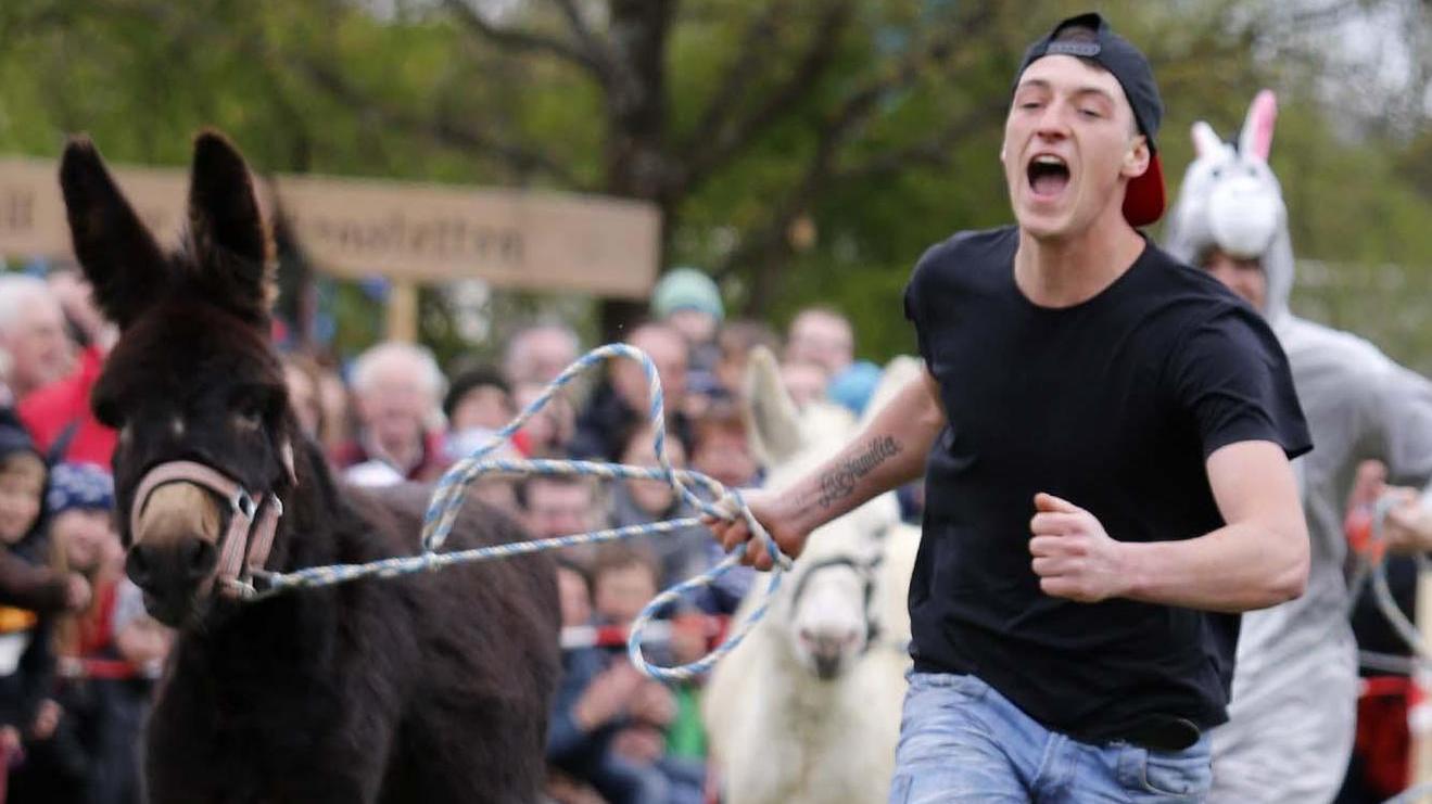 Neumarkter Frühlingsfest: Renn-Esel sind schon heiß
